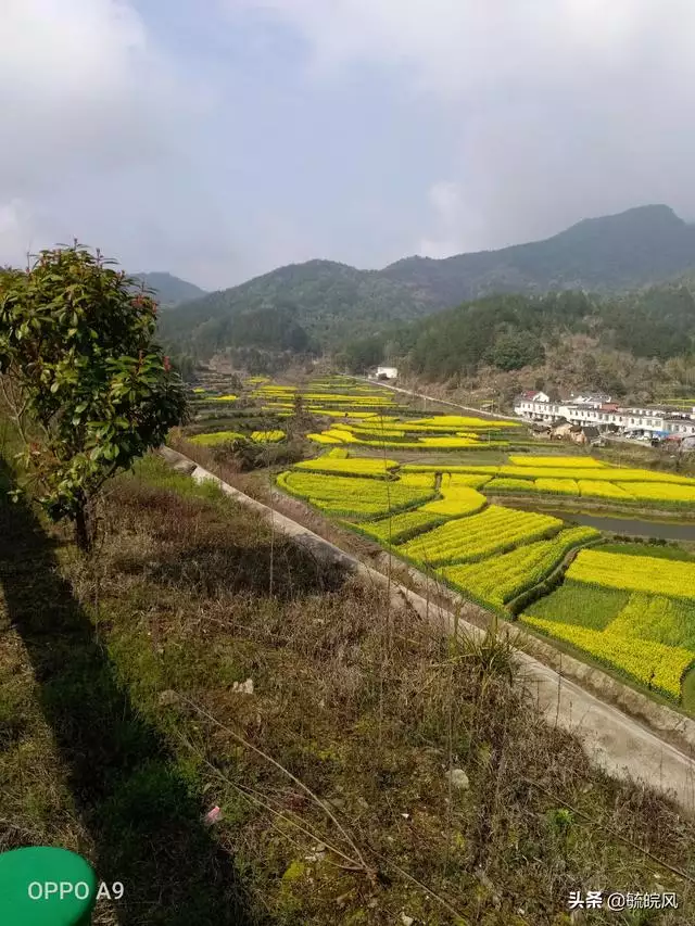 戊寅属什么生肖，1998属虎最忌几月出生