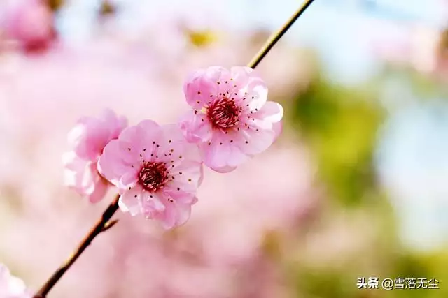 什么样的婚姻不值得继续下去，什么样的婚姻应该结束