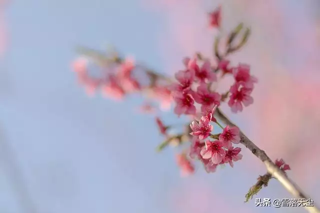 什么样的婚姻不值得继续下去，什么样的婚姻应该结束