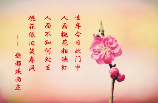 八字免费查桃花运，命犯桃花怎么查