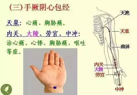 金木水火土五行查询表图片，金木水火土教学图片