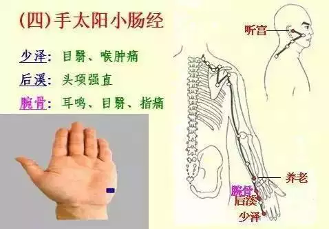 金木水火土五行查询表图片，金木水火土教学图片