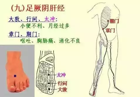 金木水火土五行查询表图片，金木水火土教学图片