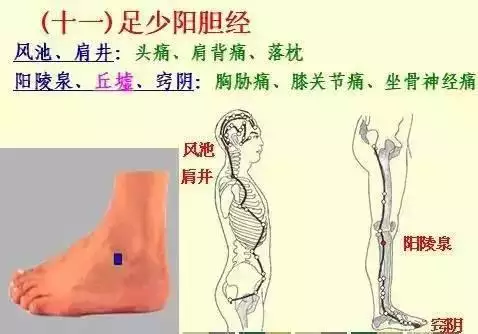 金木水火土五行查询表图片，金木水火土教学图片