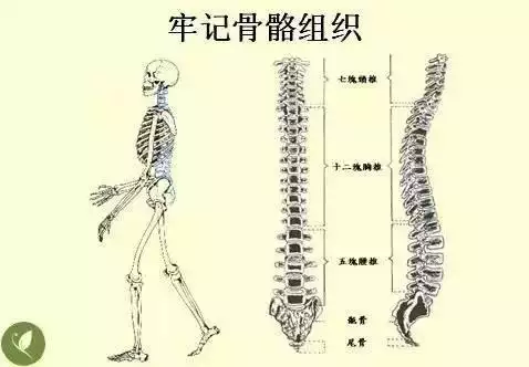 金木水火土五行查询表图片，金木水火土教学图片