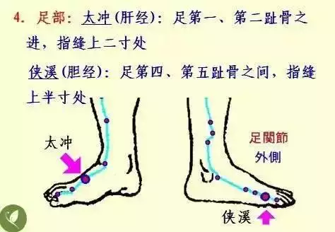 金木水火土五行查询表图片，金木水火土教学图片