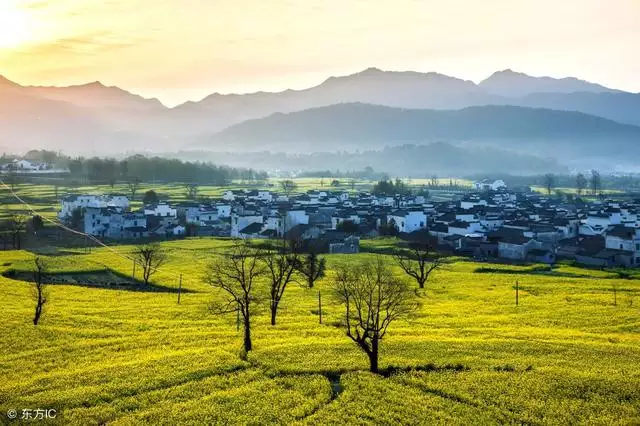 乙亥日生于各月分析，乙亥日柱男命缺点