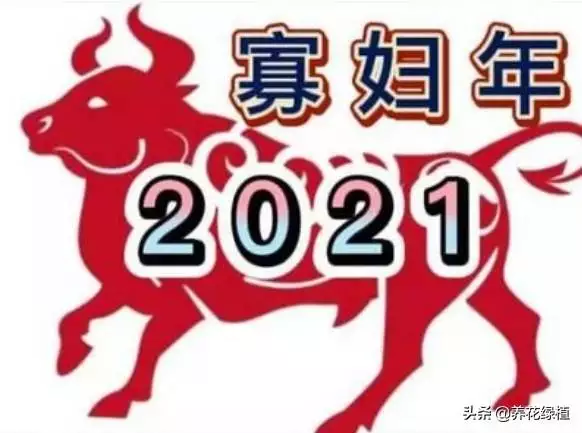 辛丑年是哪一年2022 ，辛丑牛年2022 是什么命