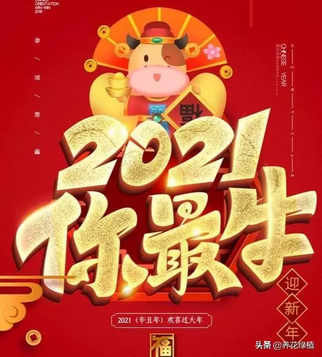 辛丑年是哪一年2022 ，辛丑牛年2022 是什么命