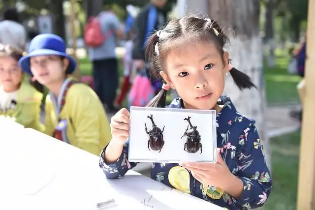 生优秀子女的八字，八字看长子长女