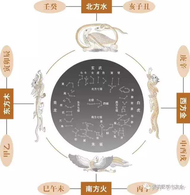 十天干十二地支五行阴阳属性，十二地支所属五行