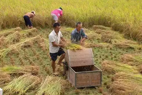 预计2022年降雨情况，2022国考预计时间