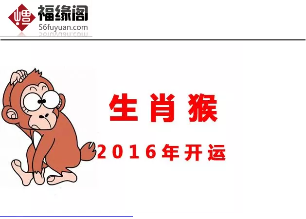 023年属猴人的全年运势详解，1980属猴人40岁到49岁运程"