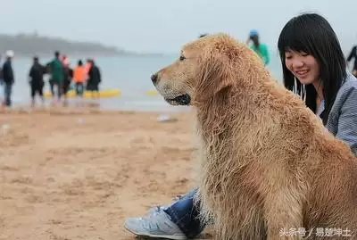 虎日冲戊申猴是什么意思，虎日冲猴会出什么生肖