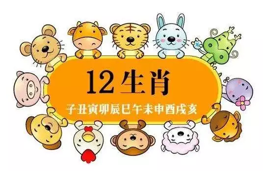 023年是兔年什么时候备孕，2023年黑兔年生孩子好吗"