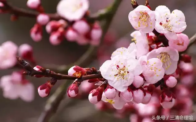 998属虎的姻缘方位，98属虎一生有几次婚姻"