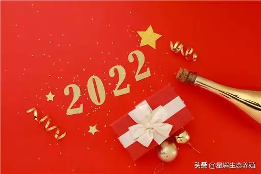 022年一月阳历表，2022年1月24日黄历"