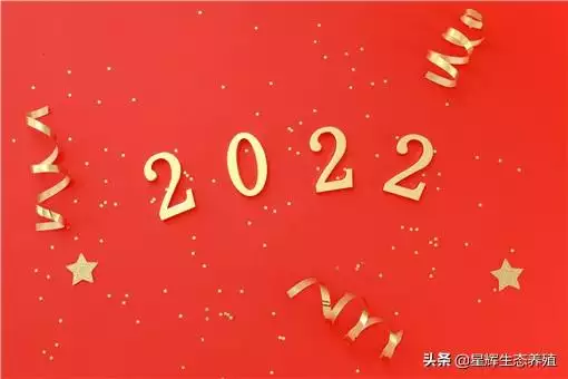 022年一月阳历表，2022年1月24日黄历"