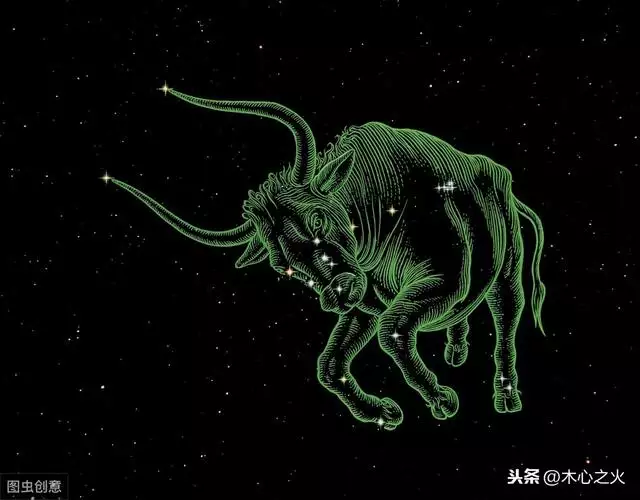 4年的虎是什么命什么星座，74年的虎是什么星座"