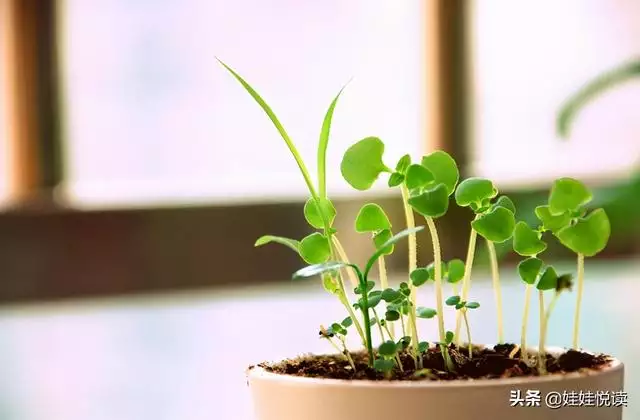 测试合不合适在一起的软件，可测恋爱匹配度的软件有哪些