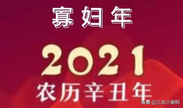 戊己年是哪些年份，天干戊己年是哪一年