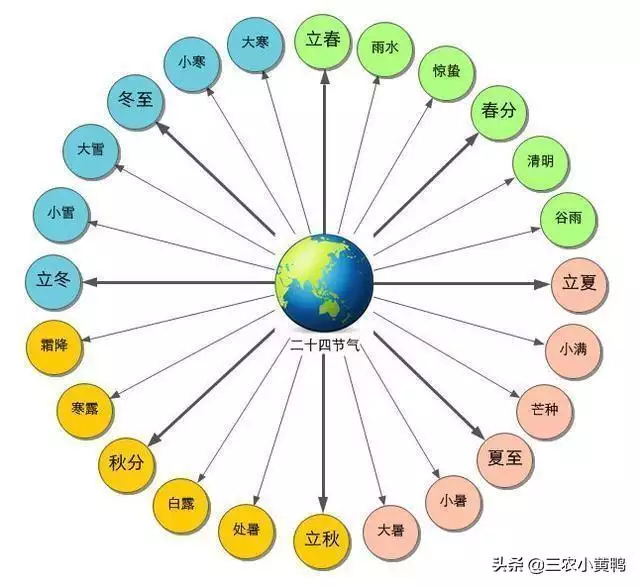 戊己年是哪些年份，天干戊己年是哪一年