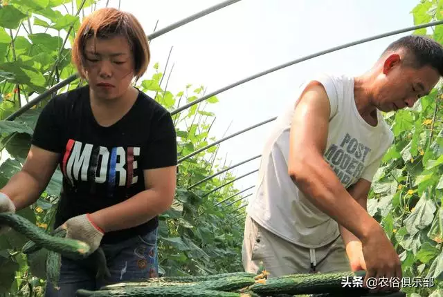 结婚女的比男的大两岁好么，女比男大两岁寓意