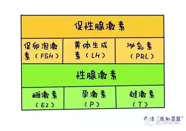 验血能查出来怀孕吗，验血hcg多少才算怀孕