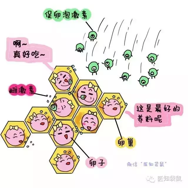 验血能查出来怀孕吗，验血hcg多少才算怀孕