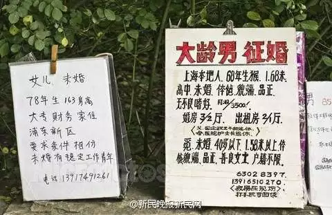 免费算命婚姻另一半系统，免费测试婚姻姻缘