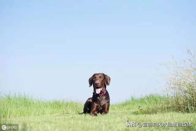 剑锋金命的人命硬吗，剑锋金命晚婚多少岁