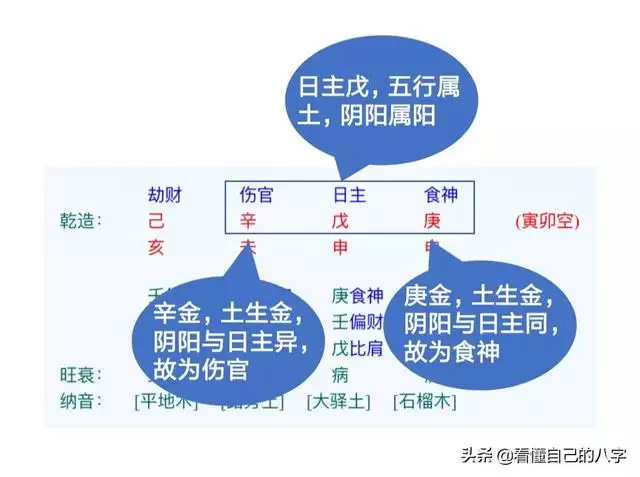 伤官和食神哪个美，食神漂亮还是伤官漂亮