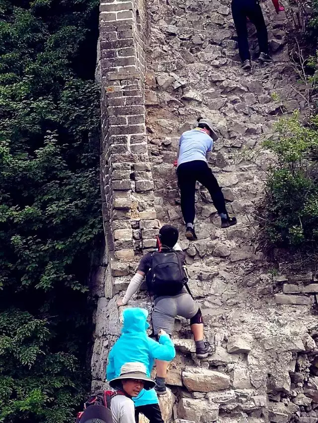 城墙上的土命什么意思，城墙土命的女孩好不好