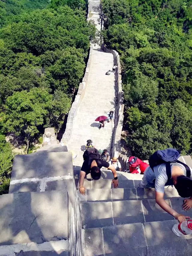 城墙上的土命什么意思，城墙土命的女孩好不好