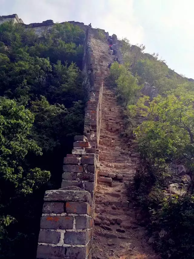 城墙上的土命什么意思，城墙土命的女孩好不好