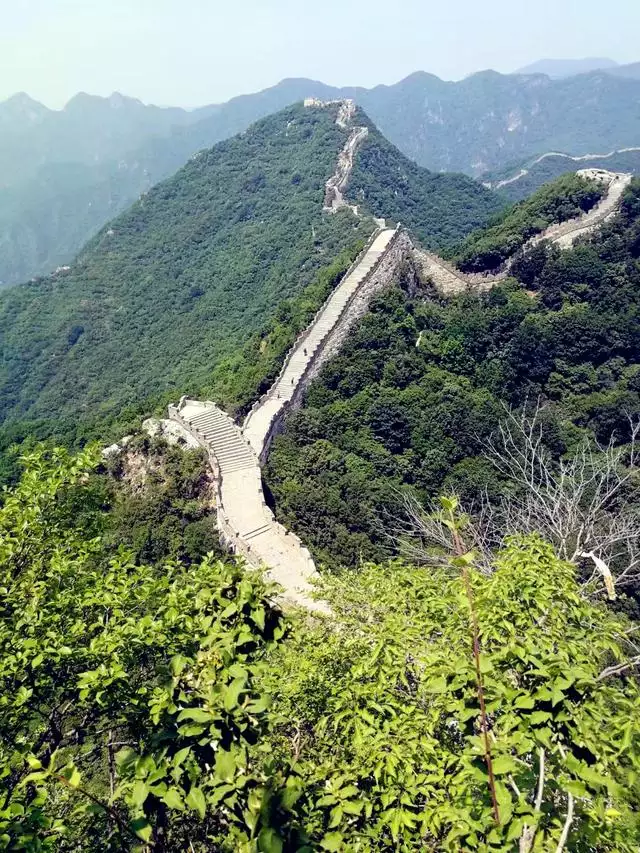 城墙上的土命什么意思，城墙土命的女孩好不好