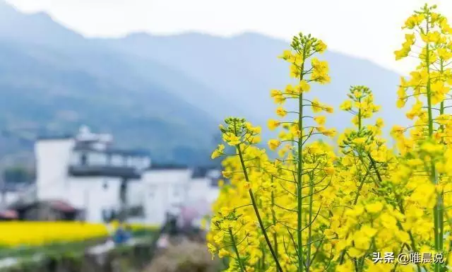 有虚荣心爱显摆的女人，讽刺爱显摆的人的语录