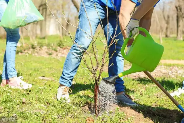 金木水火土口诀，2022 年是金木水火土