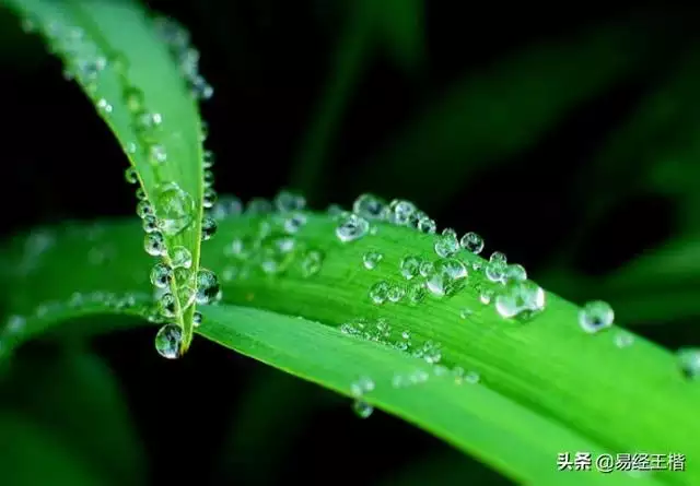 癸水容易死在什么大运，癸水命八字不好批