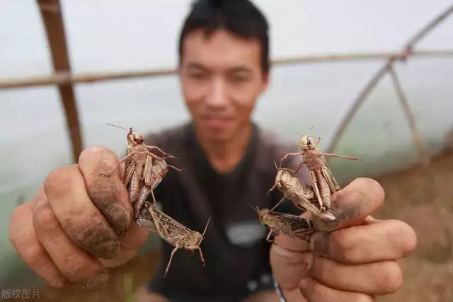 022年赚钱项目，50个冷门暴利行业"