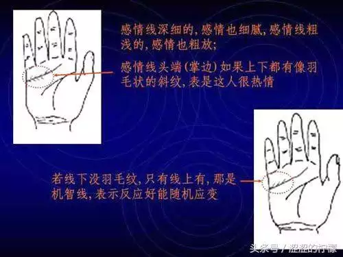 免费拍照看手相算命在线，AI测试手相