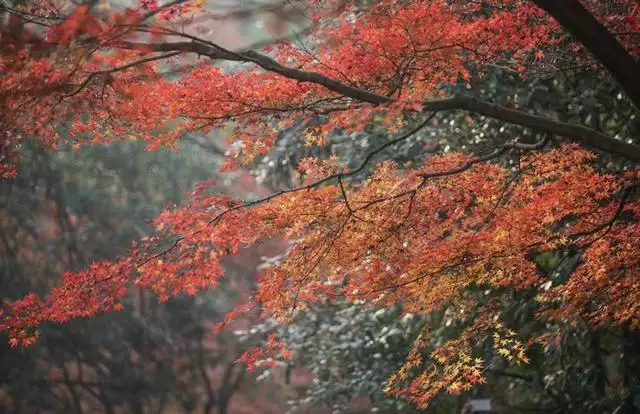 什么叫有格局的人，大格局的人六特征