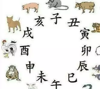 属猪的属相好吗，属猪的属相婚配表