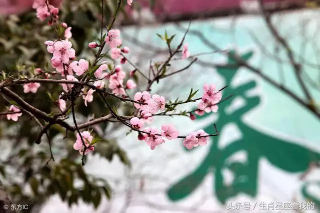 水虎年出生的虎宝宝，2022年属虎冲父母的