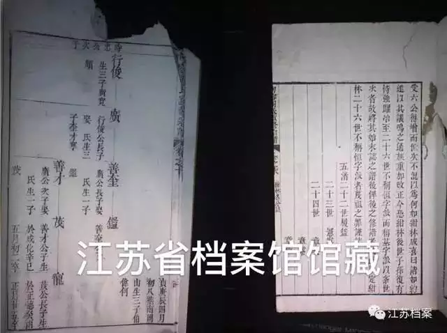 嘉庆戊午年是公元多少年，大清12皇帝列表