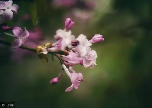 女命八字怎么看婚姻，命理女命八字看富贵