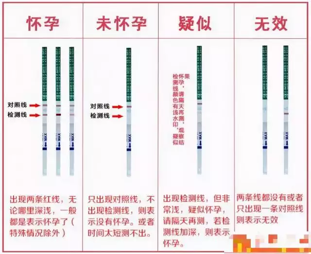 早孕试纸看男女第二道，早孕试纸秒红就是男孩