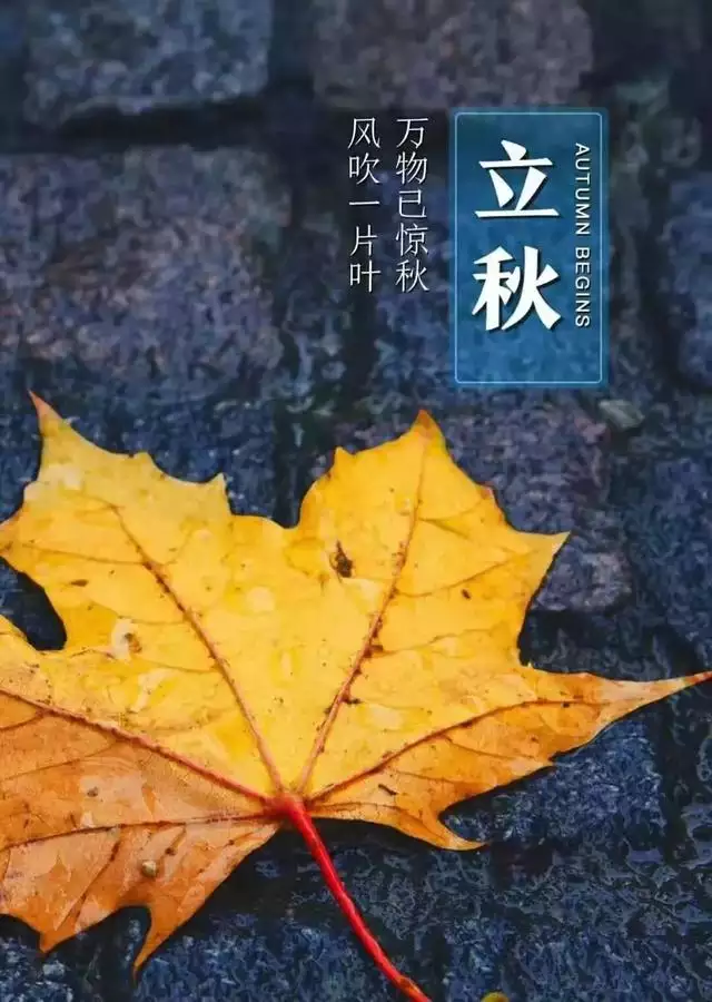 下半年的虎好不好，98年属虎今年学业运气