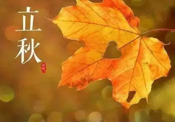 下半年的虎好不好，98年属虎今年学业运气