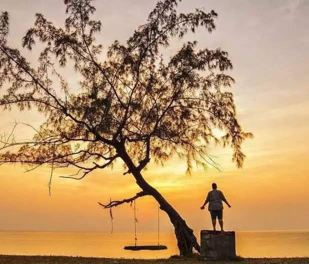 测测你的婚姻树，测测你一生有几次婚姻